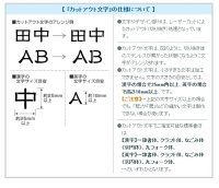 画像2: 丸三タカギ　表札  東洋エクステリア　スリムスクエア用　T切抜き  S-1