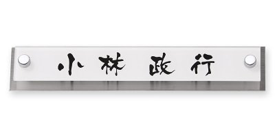 画像1: 丸三タカギ　表札  アヴァンスマンション  AVB-WS-109 (1)
