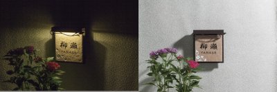 画像5: 丸三タカギ　LPL-BB-G4 （2色）　パーム・ルーチェ（PALM・LUCE)表札 (5)