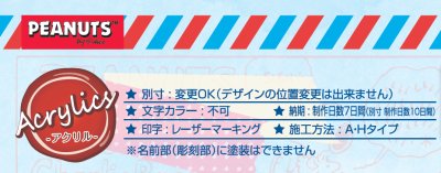 画像4: 丸三タカギ SPAWA-2 スヌーピー(SNOOPY)アクリル表札 (4)
