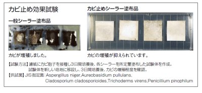カビ止め効果試験画像