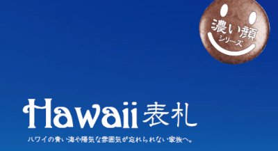 画像2: 美濃クラフト HW-1 Hawaii表札 (2)