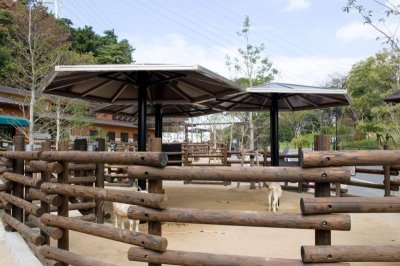 画像10: 四国化成 ペダルパーク (10)