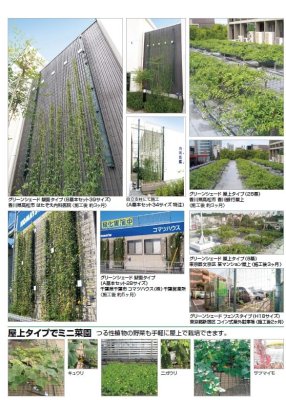 画像10: 四国化成 グリーンシェード 屋上タイプ  空中緑化システム (10)
