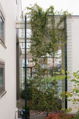 画像11: 四国化成 グリーンシェード 壁面タイプ 空中緑化システム (11)