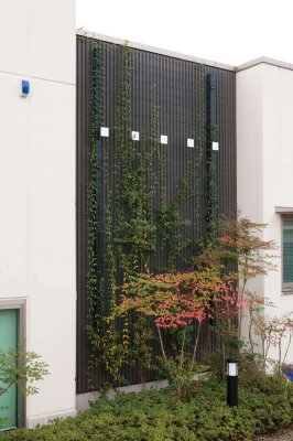 画像10: 四国化成 グリーンシェード 壁面タイプ 空中緑化システム (10)