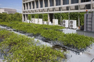 画像12: 四国化成 グリーンシェード 壁面タイプ 空中緑化システム (12)