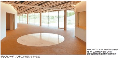 画像4: 四国化成 チップロード チップロードソフト 鏝塗りタイプ (4)
