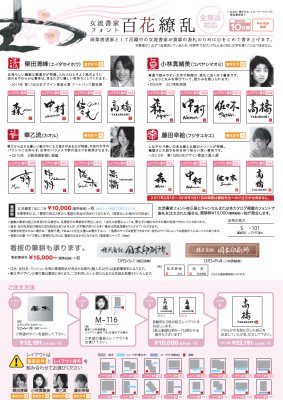 画像16: 丸三タカギ VCY-2-4(シルバー) スマイル ヴィスキオ(SMILE Vischio)表札 (16)