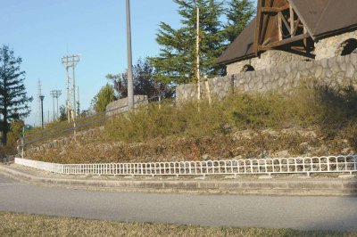 画像9: 四国化成　ガーデンフェンスPR1型　ガーデンフェンスPR2型（鋳物フェンス） (9)