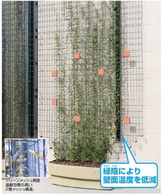 画像1: 四国化成　グリーンシェード　壁面タイプ　空中緑化システム (1)