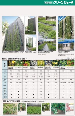 画像9: 四国化成 グリーンシェード 壁面タイプ 空中緑化システム (9)