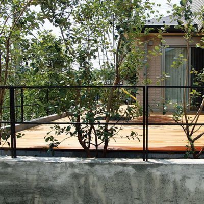 画像7: 美濃クラフト ステッキ SUTEKKI (7)