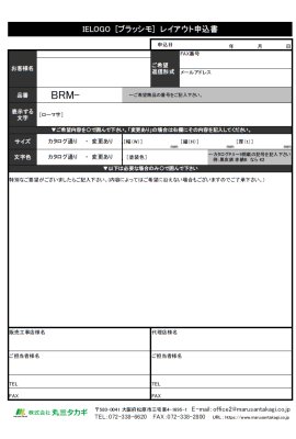 画像13: 丸三タカギ BRM-O2 Brushimo(ブラッシモ) IELOGO表札 (13)