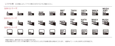 画像7: 丸三タカギ LGSB-R2-8 LOGO SIGN(ロゴサイン) IELOGO表札 4文字まで同額です(5文字以降は1文字追加ごとに4200円+税でお届け) (7)