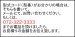 画像13: 四国化成　ユニットラインGT3型　直格子タイプ　忍び返し・剣先タイプ（手動式　電動式） (13)