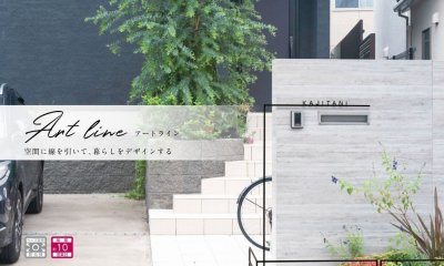 画像6: 美濃クラフト ATL-T- アートライン Art line (6)