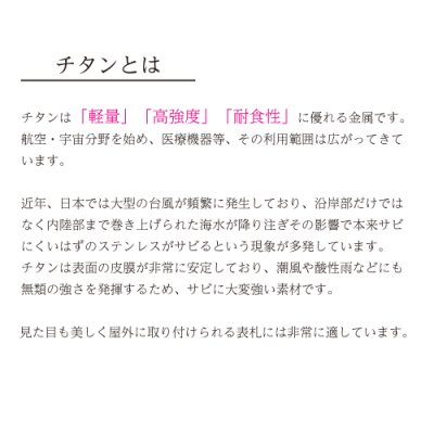 画像10: 美濃クラフト JTP-13 チタン TITAN表札 (10)