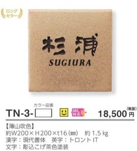美濃クラフト 素焼き陶器表札 TN-3- 送料無料でお届け致します。