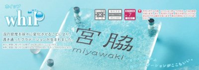 画像7: 美濃クラフト GF-64 ホイップ whiP ガラス表札 (7)