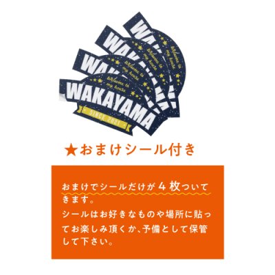 画像6: 美濃クラフト ES-72- ロゴステッカー表札 小さな表札 (6)