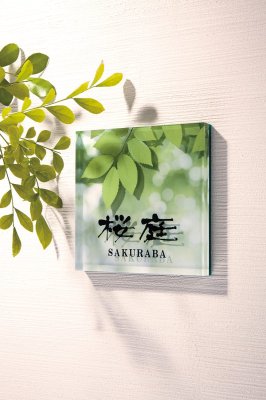 画像2: 丸三タカギ NPYS-1-21(ブラック) プライ Ply (2)