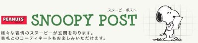 画像7: 丸三タカギ　NSPGP-A-NAME（ブラック）　SNOOPY  POST　スヌーピーポスト (7)