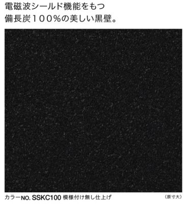 画像1: 四国化成　さやか　備長炭100　2025年3月廃盤商品 (1)