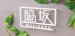 画像2: 福彫　SAKT-52　ステンレス切文字　PLIE　プリエ (2)