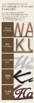 画像7: 福彫　IRX-172　ヘデラ　NEW　BRASS　IRON　ニューブラスアイアン・セパレート表札 (7)