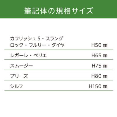 画像6: 美濃クラフト XP-15(筆記体9文字以内のお値段です) ステンレス切り文字 プリモ Primo (6)
