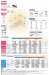 画像44: 四国化成　ファンデッキHG　SG　HG低床タイプ　スロープユニット　ハイパーフェンス・門扉　ハイパーテーション　デッキフェンス　FDフェンス　袖門扉1型 2型 3型　セイフティビームFD型　SU型　SJ型 (44)