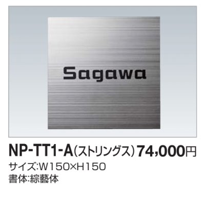 画像1: 四国化成　NP-TT1-A（ストリングス）チタン表札 (1)