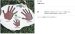 画像6: 美濃クラフト　TEPURI　テ・プリ　メモリアルプレート　Handprint  Kit (6)