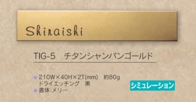 画像4: 福彫　TIG-5　チタンシャンパンゴールド　TITAN　DRY　Champagne　Gold (4)