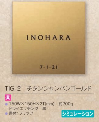 画像5: 福彫 TIG-2 チタンシャンパンゴールド TITAN DRY Champagne Gold (5)