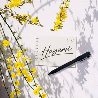 画像3: 美濃クラフト STA-1 STA-2 STA-3 STA-4 文房具表札 (3)