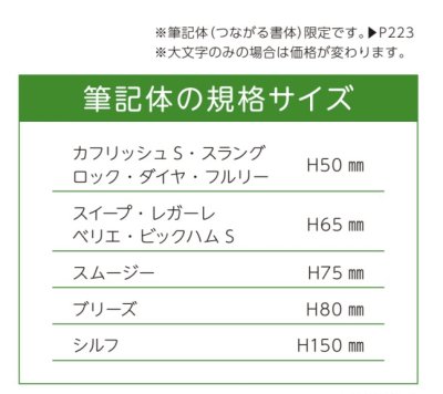 画像5: 美濃クラフト　XP-7（筆記体9文字までのお値段です）　ステンレス切り文字　プリモ　Primo (5)
