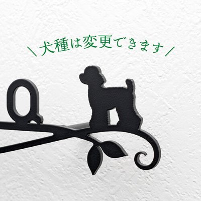 画像3: 美濃クラフト　KRP-15　カリーノ・ピュア　carino　pure (3)