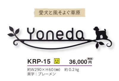 画像5: 美濃クラフト　KRP-15　カリーノ・ピュア　carino　pure (5)