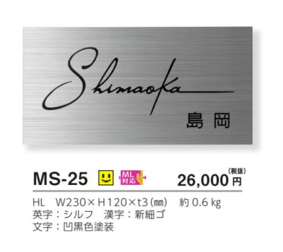 画像3: 美濃クラフト MS-25 ファイン Fine ウェットエッチング ステンレス表札 (3)