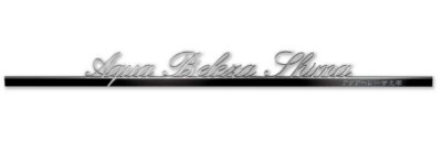 画像1: 美濃クラフト　C-LS-12　アンダーバー付き文字　館銘板/商業看板　文字サイン (1)