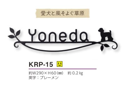 画像5: 美濃クラフト　KRP-15　カリーノ・ピュア　carino　pure (5)