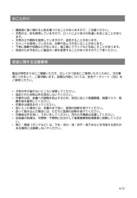 画像20: 四国化成 ペイブワン（PaveOne）セメント系舗装材 (20)