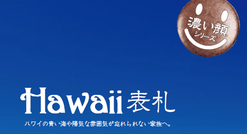 美濃クラフト PZH-1 Hawaii表札を定価の30％OFF・送料無料でお届け致し 